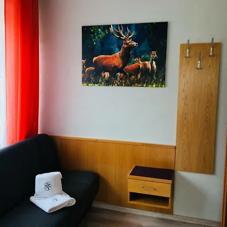 Проживание в семье Gorska